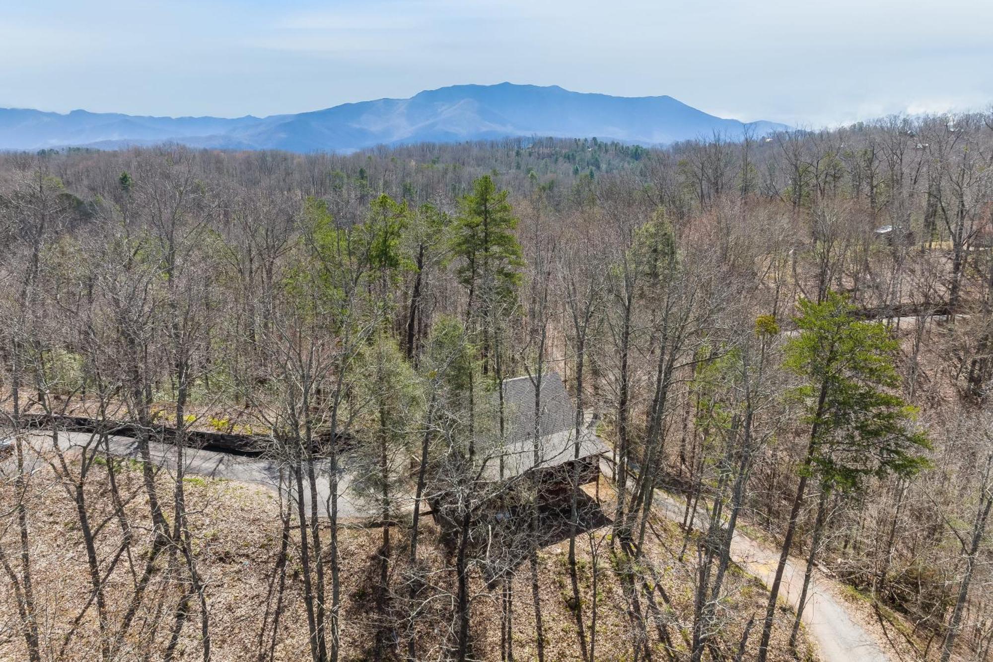 Dudley II By Avantstay Comfortable Cabin W Hot Tub Views Pigeon Forge Kültér fotó